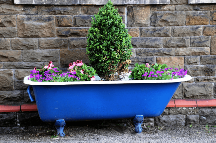 Easiest ways for container Gardening for vegetables