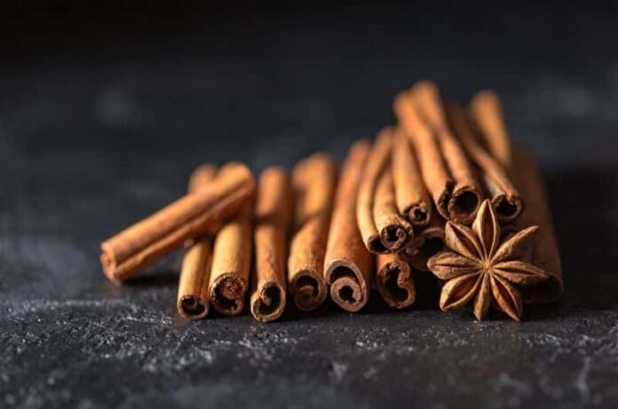 Reasons Why Plants Love Cinnamon and ways to use in the garden