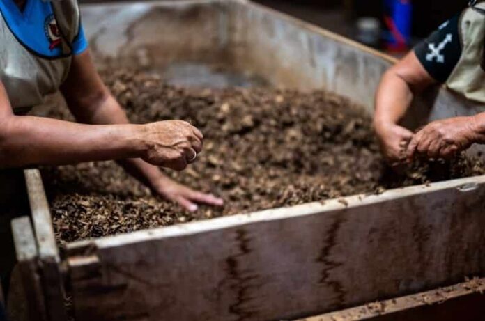 Easiest Guide for the Newbie Gardeners in Vermicomposting
