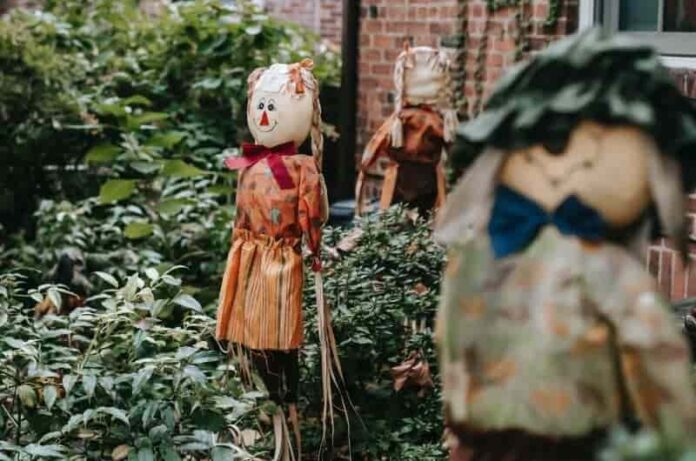 How to make a scarecrow for the small gardens