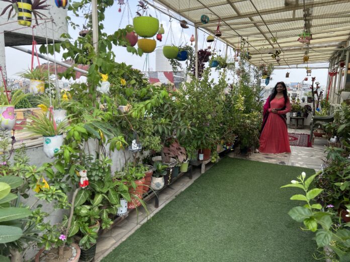 Transforming Garden Sai Vatika: 10 Terrace Garden Decoration Ideas in Delhi