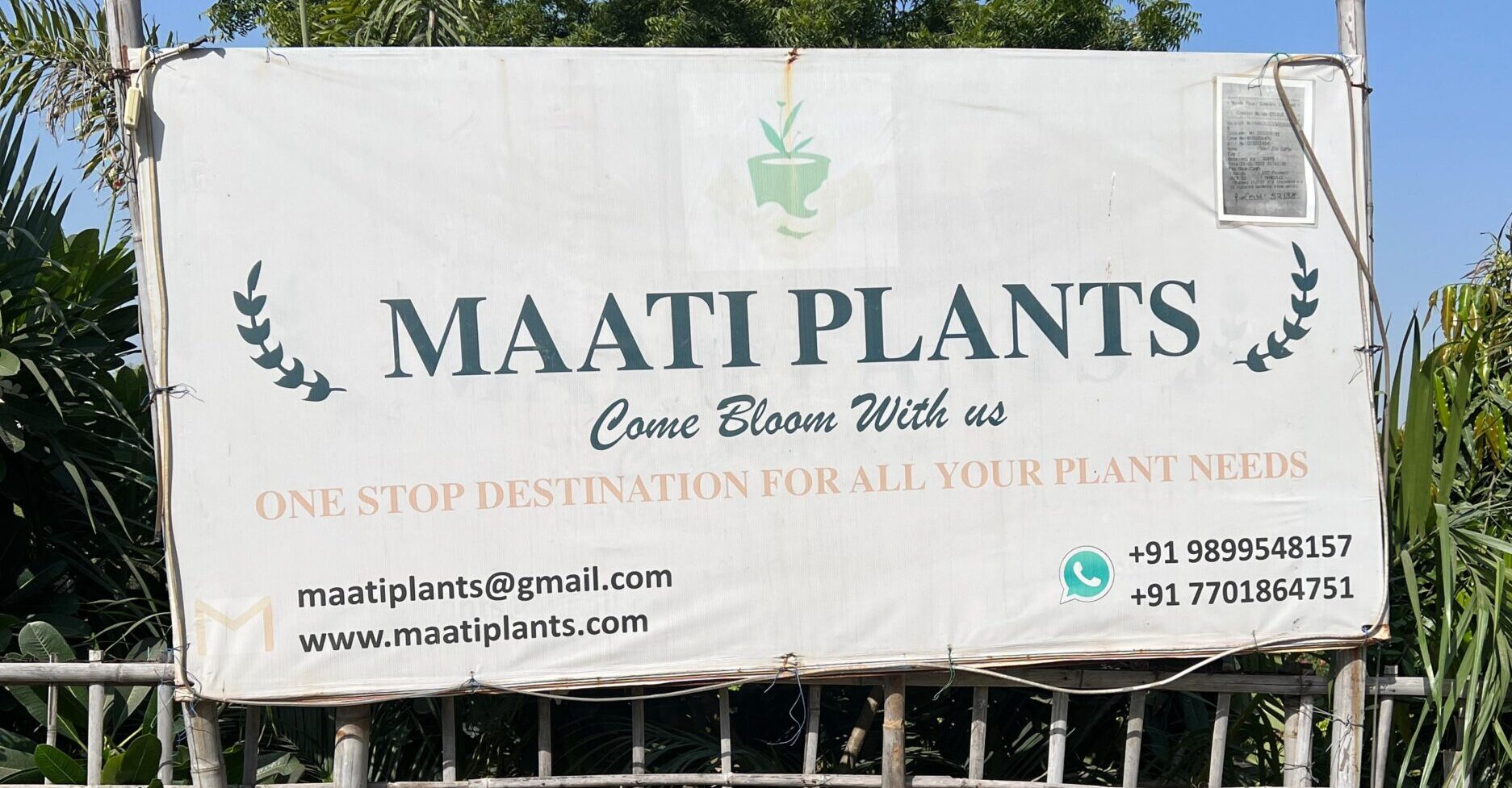 Maati Plants