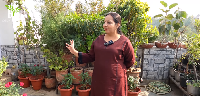 मेरा Garden Birds और Fruit-Eating पक्षियों के लिए है, दिल बड़ा है