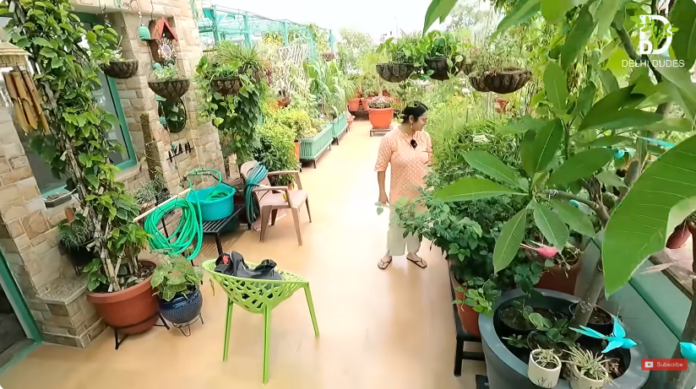 ऐसा अनोखा गार्डन आपने पेहले कभी नहीं देखा होगा, छत को बना दिया खेत Terrace Garden