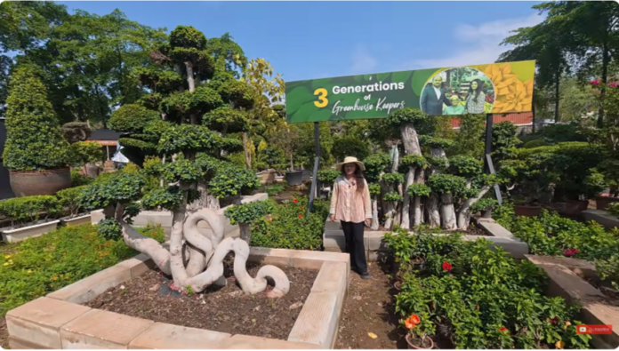 100+ Exotic Plants से बदल जाएगा आपके Farmhouse, Hotel, Garden का पूरा Look