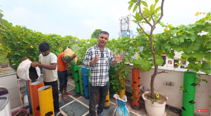 छत पर लगाई Winter की सब्जियाँ PVC Tower ने कर दिया कमाल