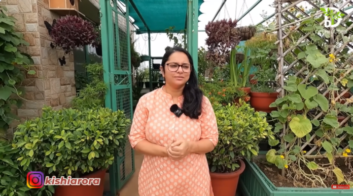 ऐसा अनोखा गार्डन आपने पहले कभी नहीं देखा होगा! छत को बना दिया खेत